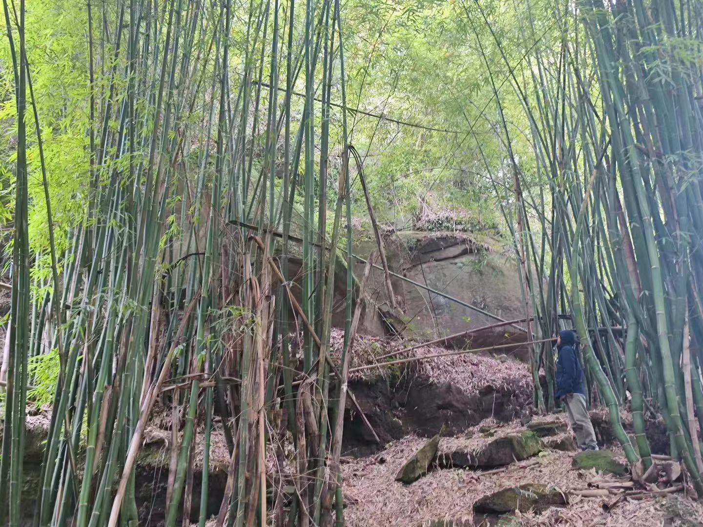 微信图片_20231209113531