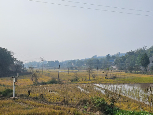 蒙哥大汗折戟处：实验室邹佺老师在合川勘察危险山地，确保当地安全
